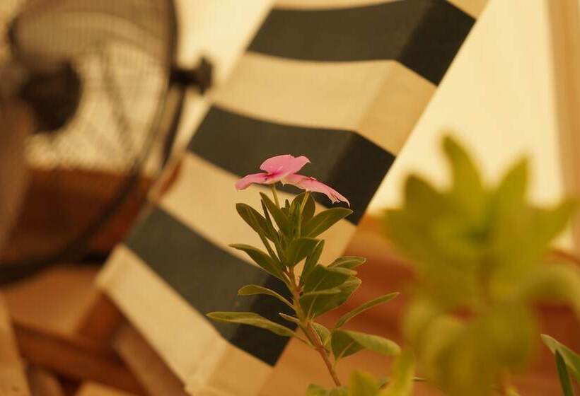 ホテル Chilochill Glamping Resort