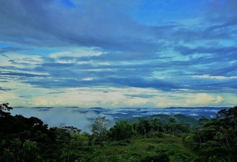 ホテル Heimatlos Rainforest Lodge