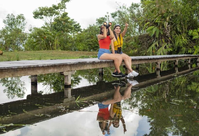 ホテル Heimatlos Rainforest Lodge