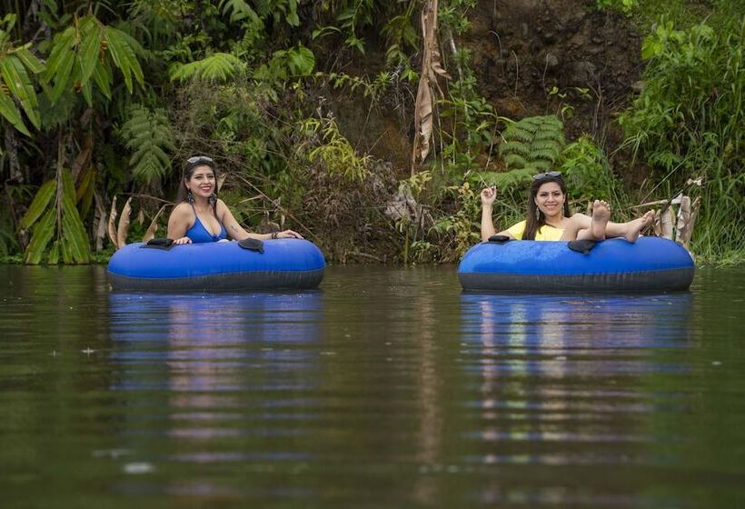 ホテル Heimatlos Rainforest Lodge