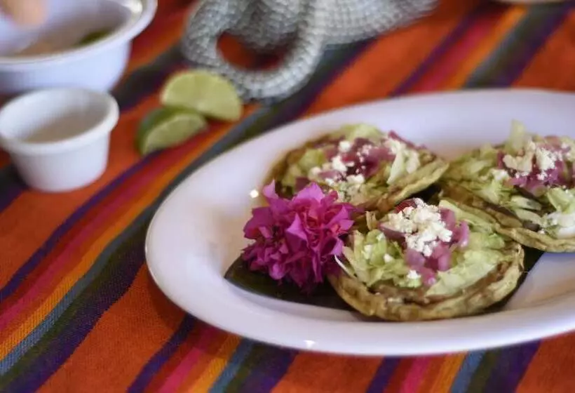 Hotelli Hameki  Glamping