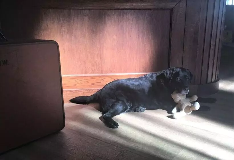 Hotelli In  T Holt 1654