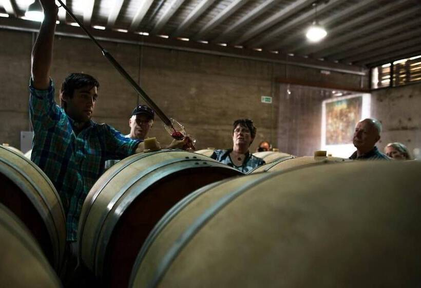 Hotel Pizzorno Lodge & Wine