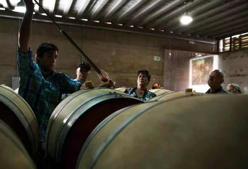 ホテル Pizzorno Lodge & Wine