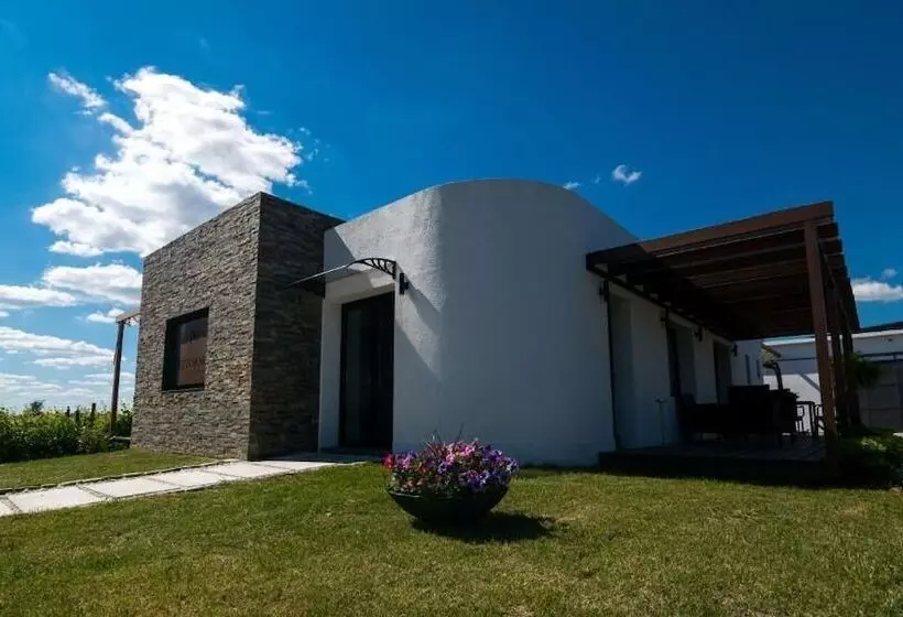 ホテル Pizzorno Lodge & Wine