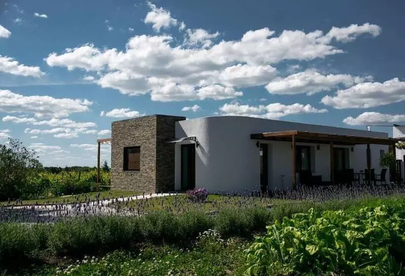 ホテル Pizzorno Lodge & Wine