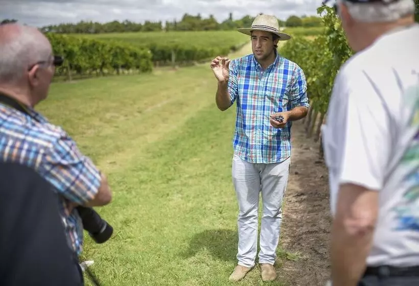 ホテル Pizzorno Lodge & Wine