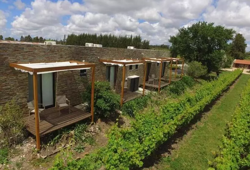 ホテル Pizzorno Lodge & Wine