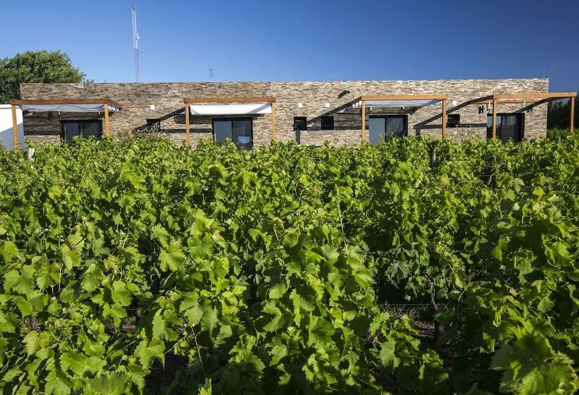 Hotel Pizzorno Lodge & Wine