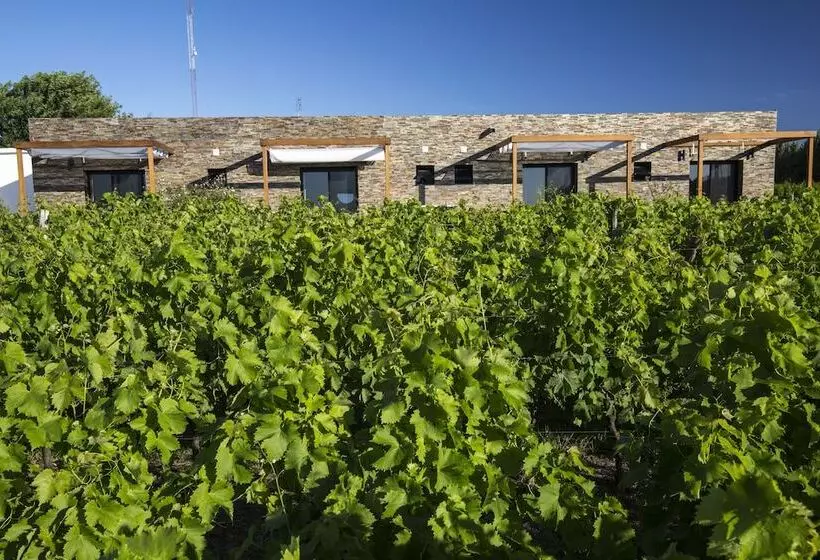 ホテル Pizzorno Lodge & Wine