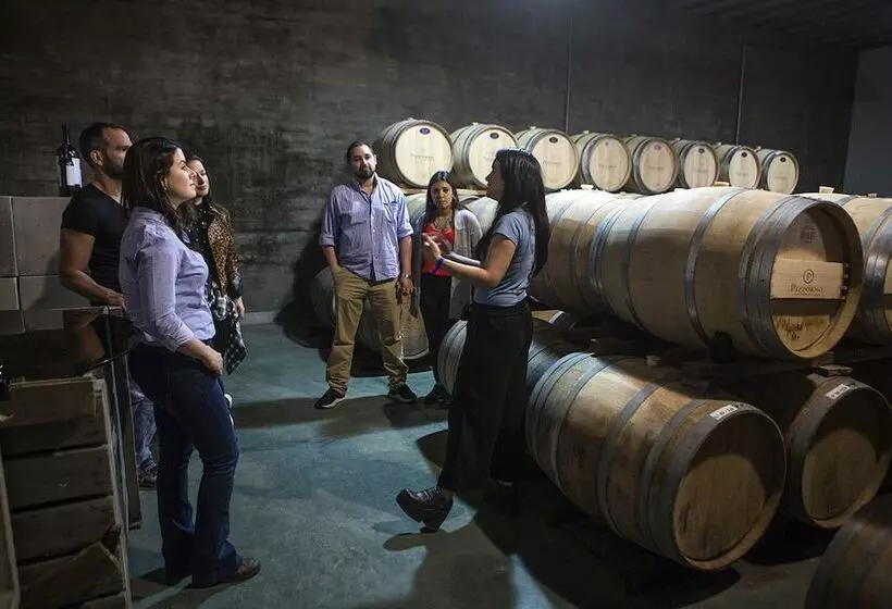 ホテル Pizzorno Lodge & Wine