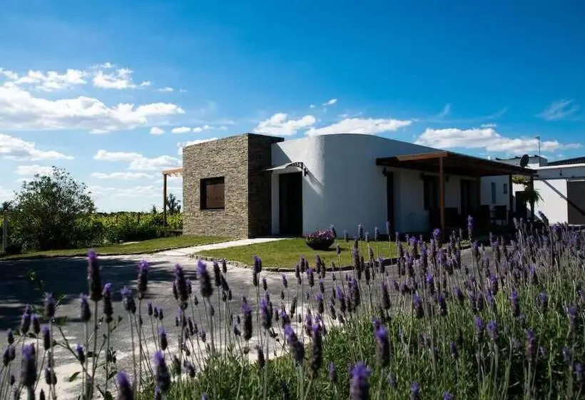 ホテル Pizzorno Lodge & Wine