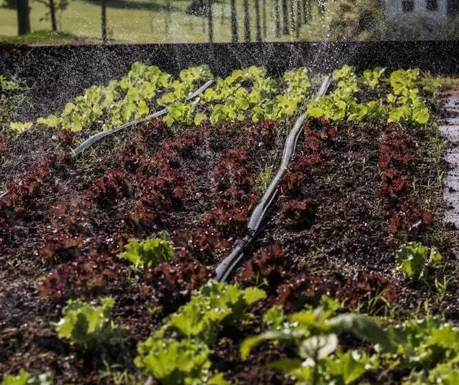 田舎風ホテル Fazenda Santa Teresa Hotel & Spa
