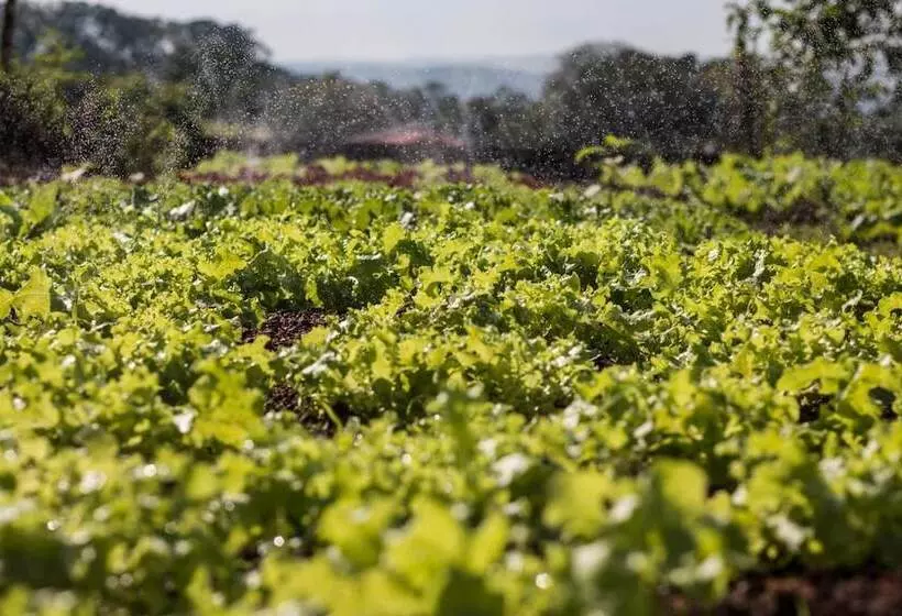 田舎風ホテル Fazenda Santa Teresa Hotel & Spa