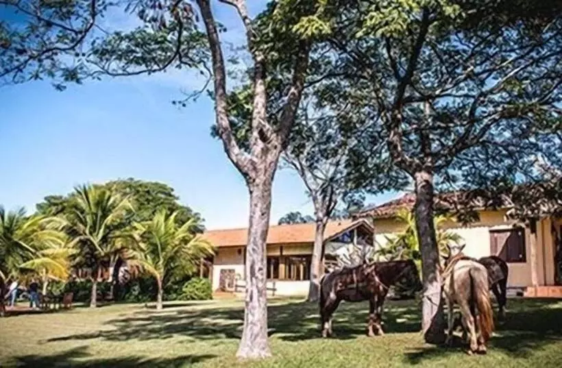 田舎風ホテル Fazenda Santa Teresa Hotel & Spa