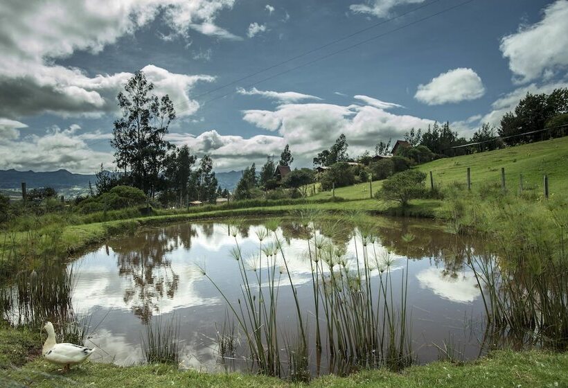 Pension Cabañas Villa Helena