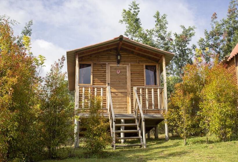 بنسيون Cabañas Villa Helena