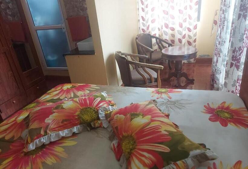 پانسیون Skylineinn