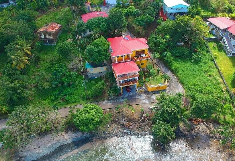 پانسیون Sunset Lane