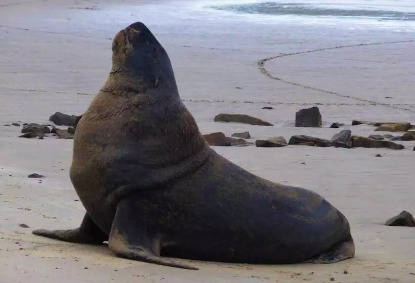 Aamiaismajoitus (B&B) Kepplestone By The Sea