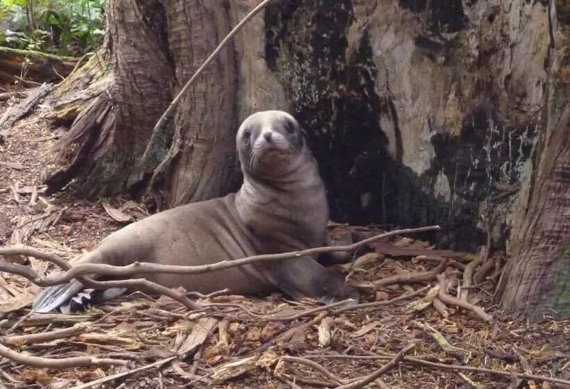 Aamiaismajoitus (B&B) Kepplestone By The Sea