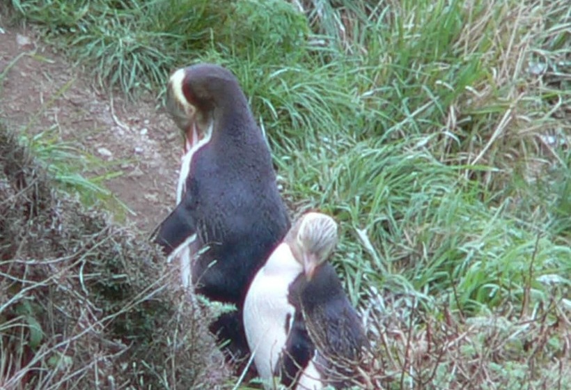 민박 Kepplestone By The Sea