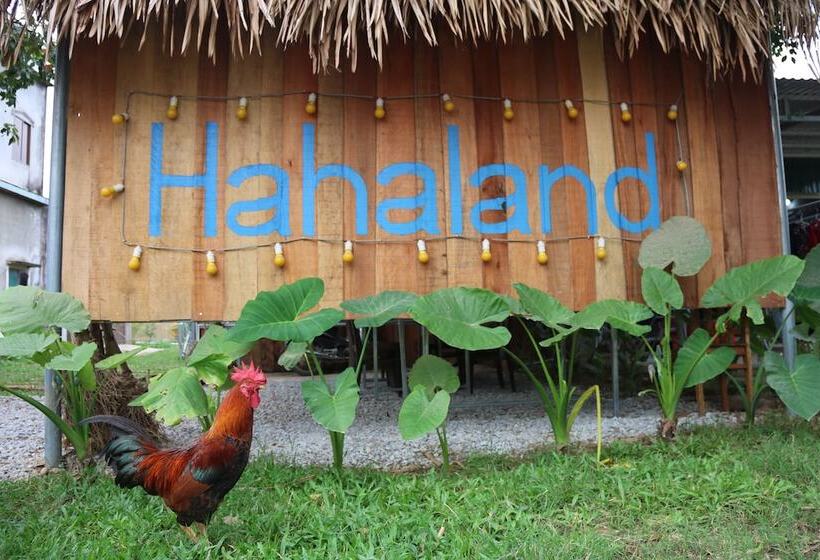 Hahaland   Hostel
