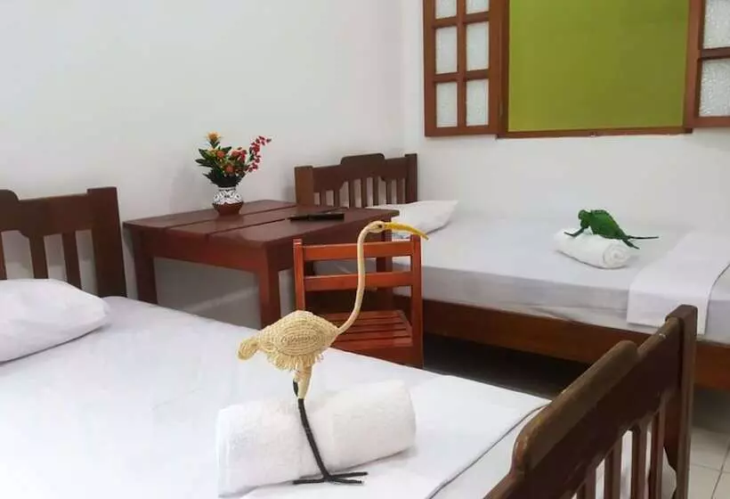 Hostelli Iguana Haus Iquitos