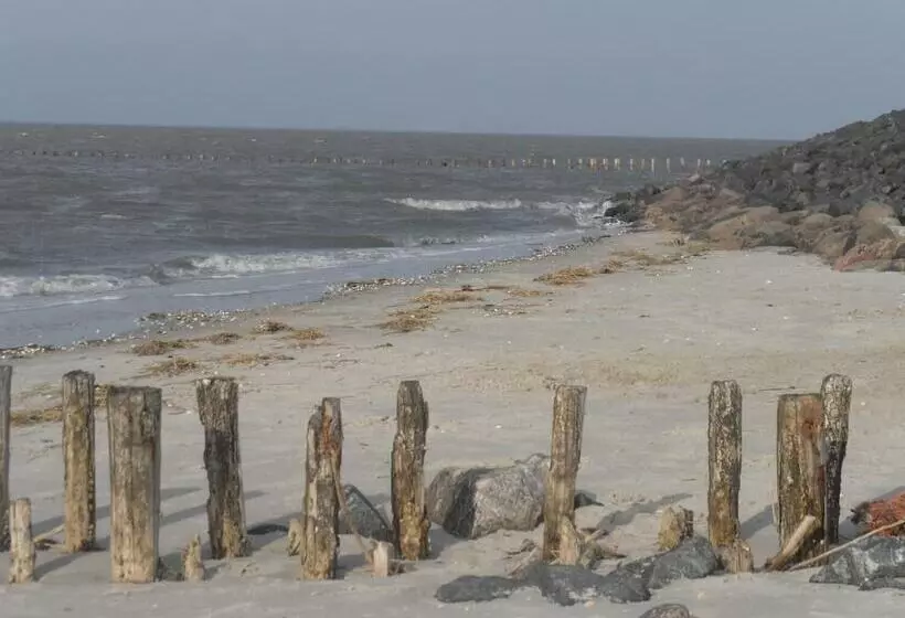 ホテル Alte Schule Westerhever