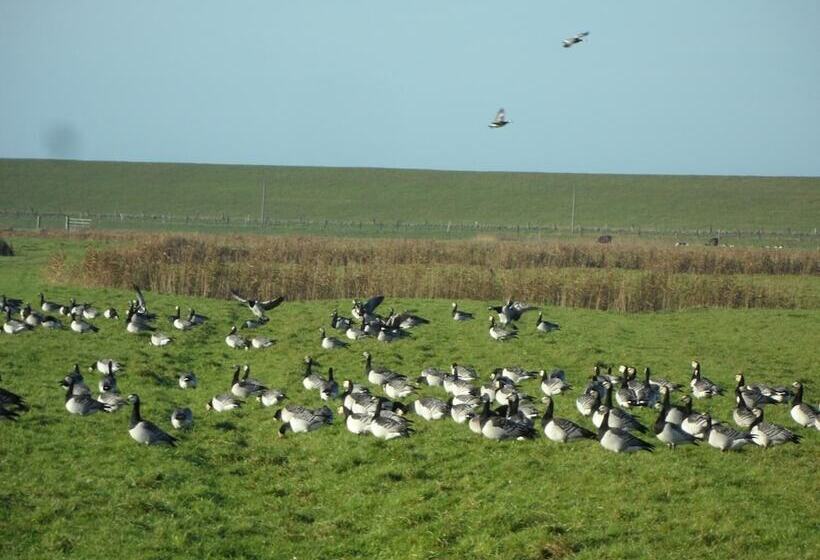 Отель Alte Schule Westerhever