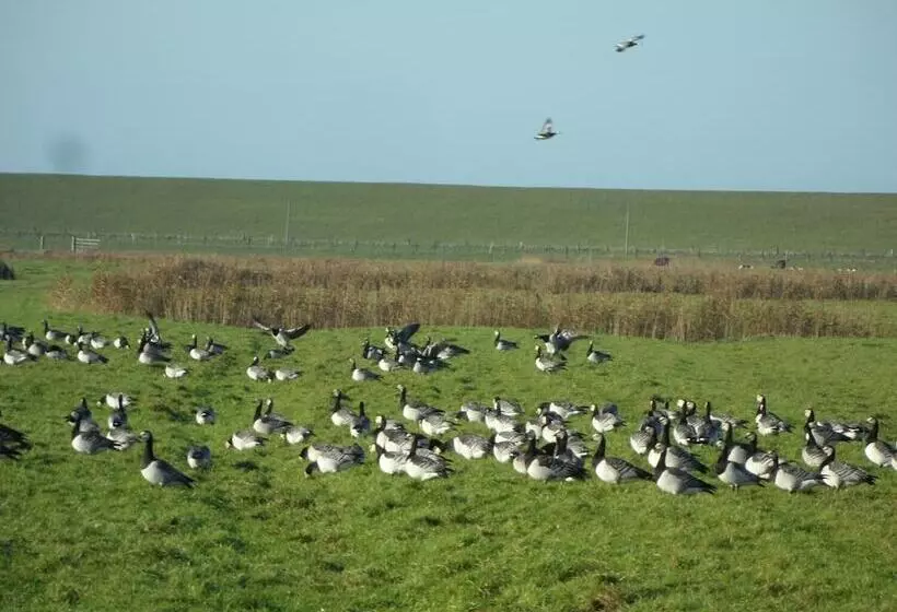 ホテル Alte Schule Westerhever