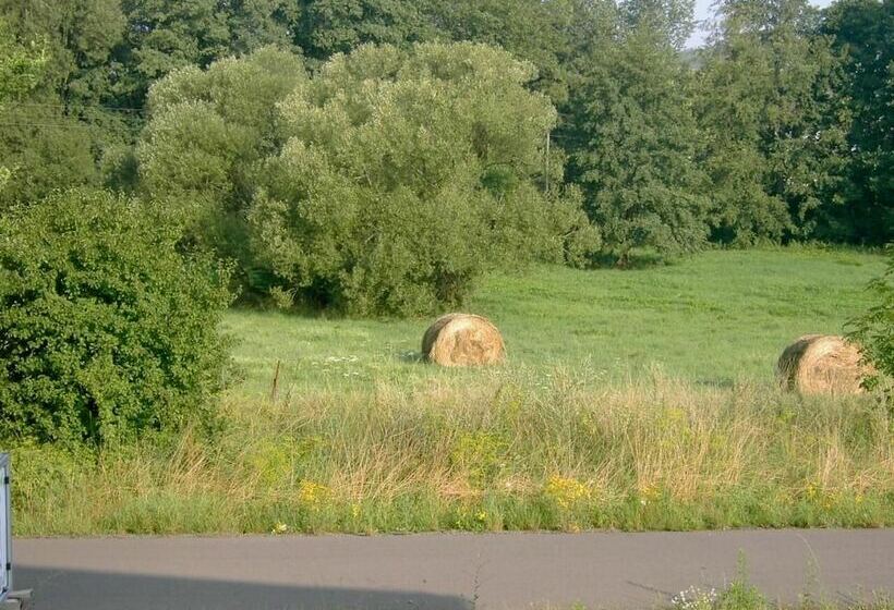 Отель Apartments Haus Beckel
