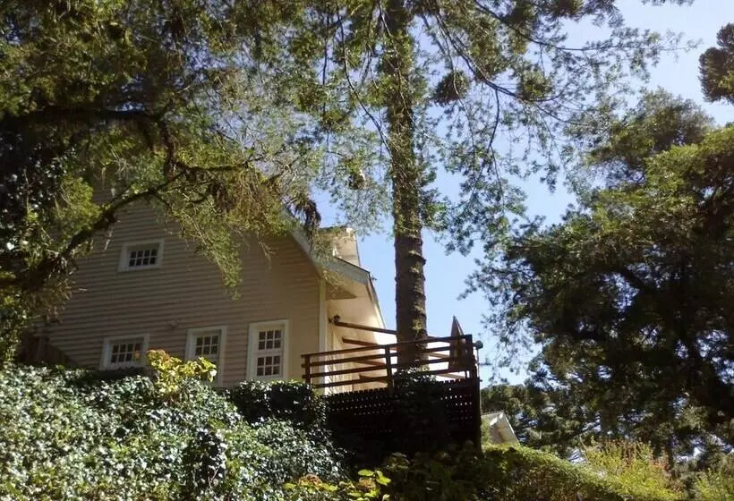 ホテル Forest Pine Inn