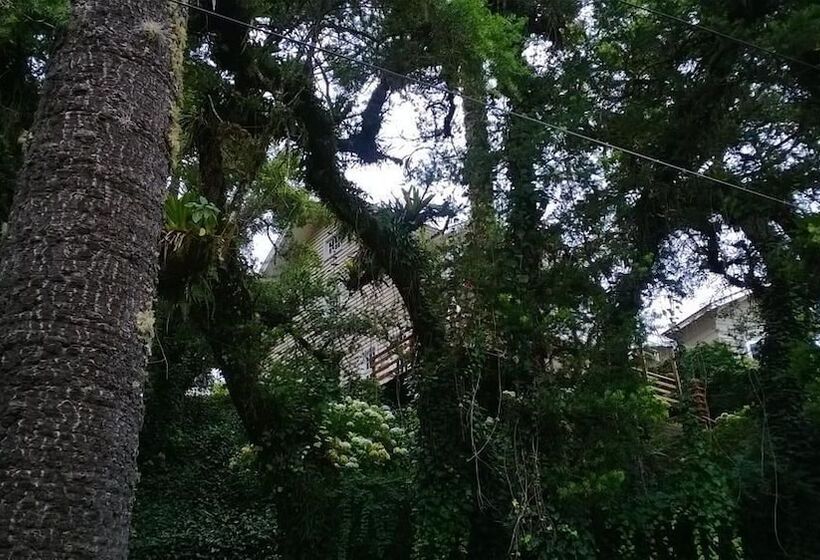 בית מלון כפרי Forest Pine Inn