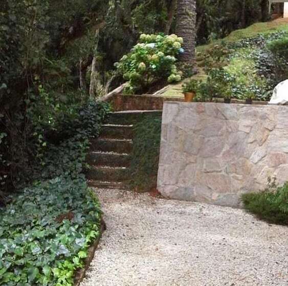 בית מלון כפרי Forest Pine Inn