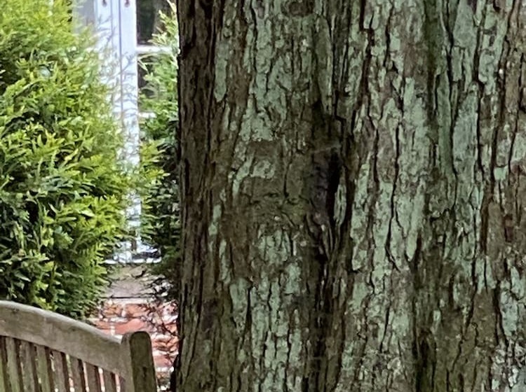 호텔 Grander Mühle