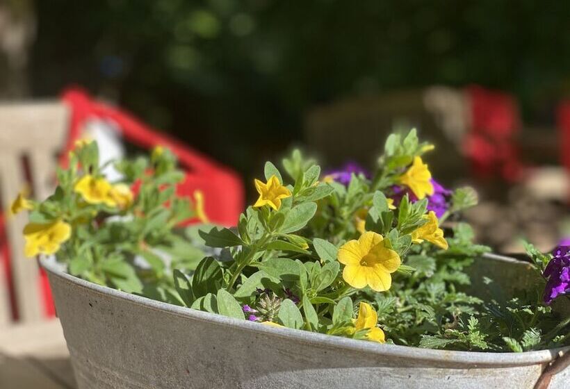 호텔 Grander Mühle