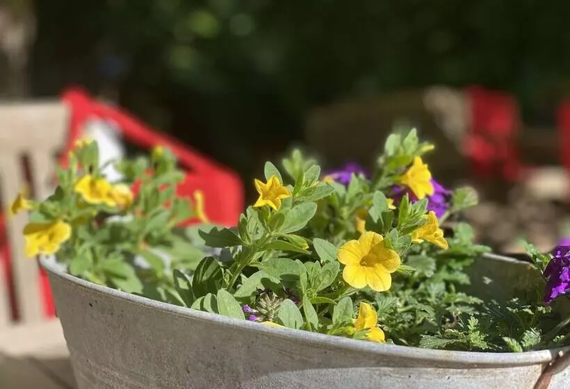 ホテル Grander Mühle