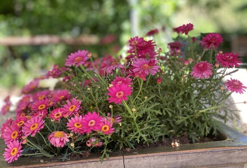 호텔 Grander Mühle