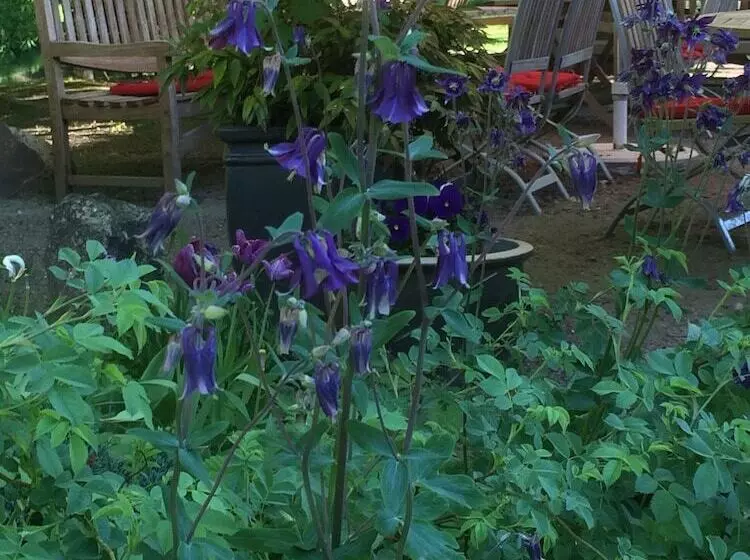 ホテル Grander Mühle