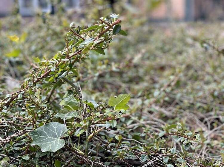 호텔 Grander Mühle