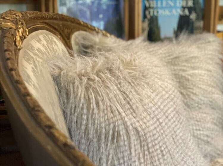 호텔 Grander Mühle