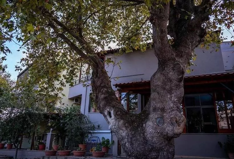 Hotelli Kipos Resort