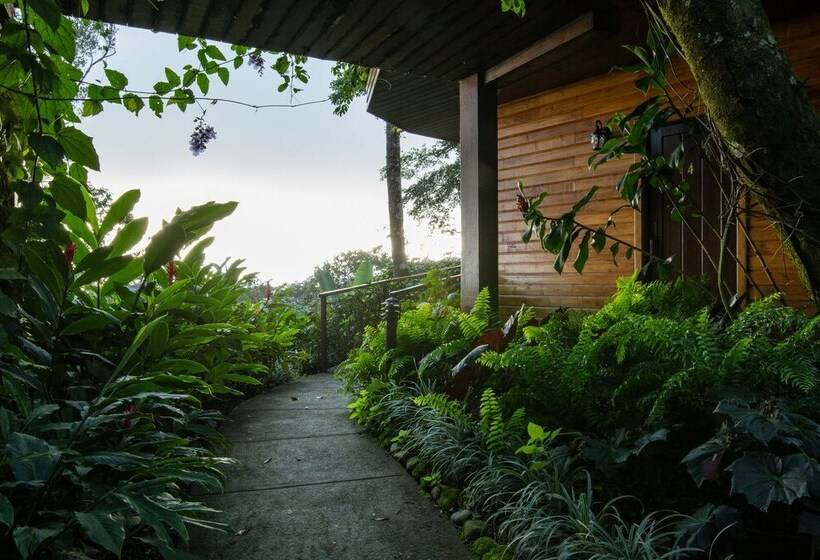 Hotel Lucero   Luxury Treehouses