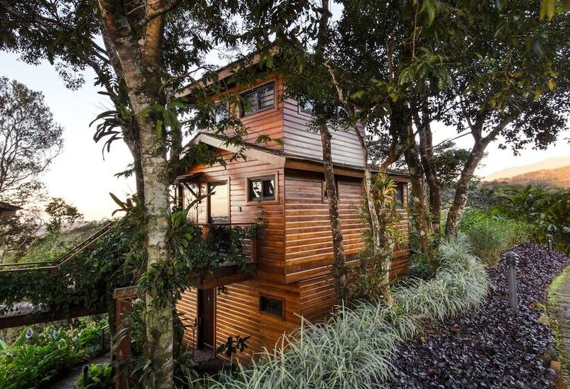 Hotel Lucero   Luxury Treehouses