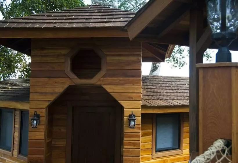 ホテル Lucero   Luxury Treehouses