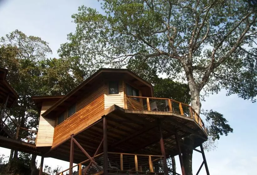 ホテル Lucero   Luxury Treehouses