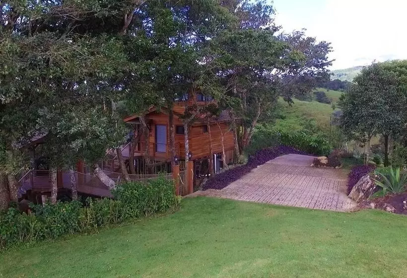 ホテル Lucero   Luxury Treehouses