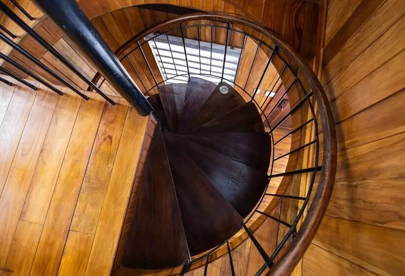 ホテル Lucero   Luxury Treehouses