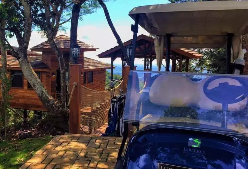 ホテル Lucero   Luxury Treehouses